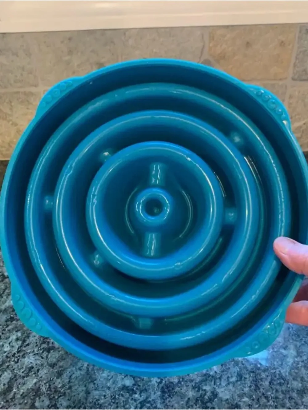 Outward Hound Teal Fun Feeder Slow Eating Dog Bowl